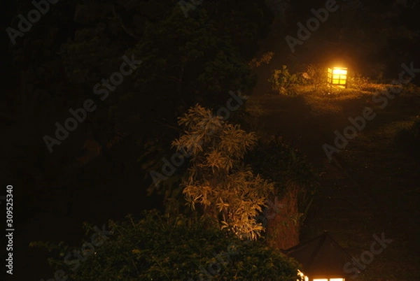 Obraz garden lights at night