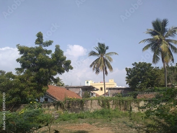 Obraz Environmental surroundings.