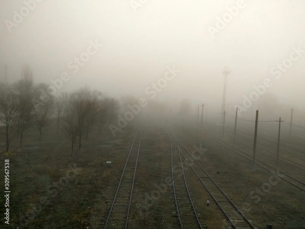 Fototapeta Thick fog and a railroad with trees