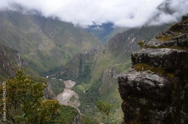 Fototapeta 南米　自然　風景　森