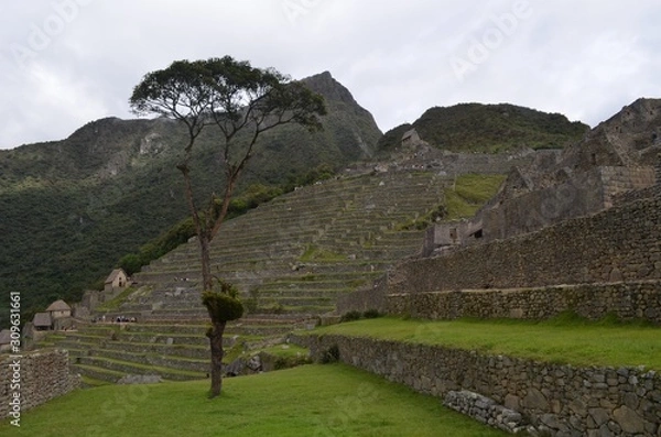 Obraz マチュピチュ　風景