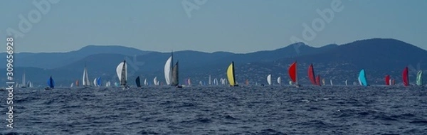 Obraz Les voiles 2018