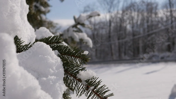 Obraz After the snowfall