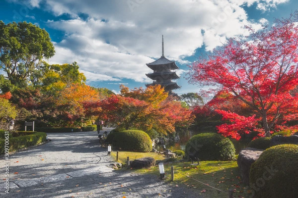 Fototapeta 京都 東寺の紅葉と秋景色