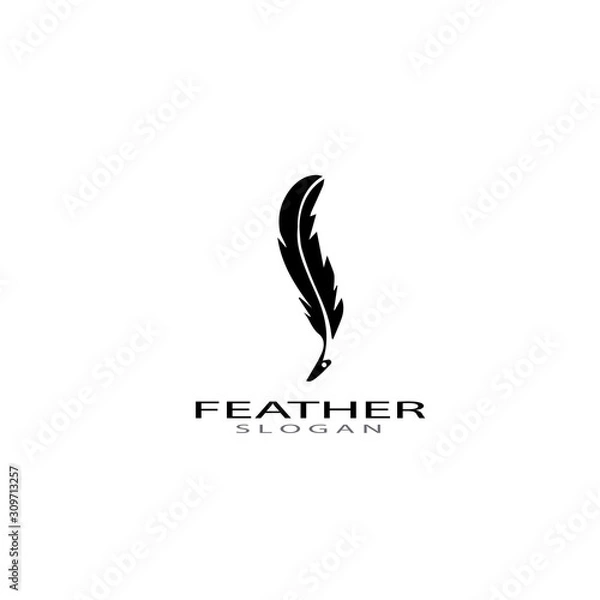 Obraz feather logo vector templates