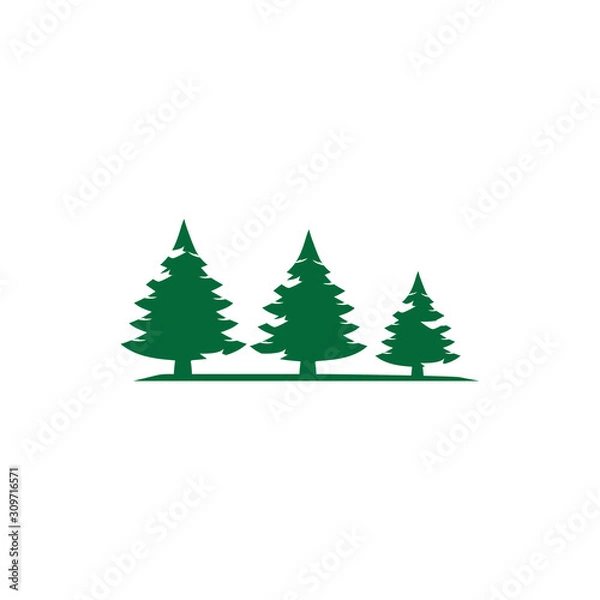 Obraz pine tree logo illustration vector design