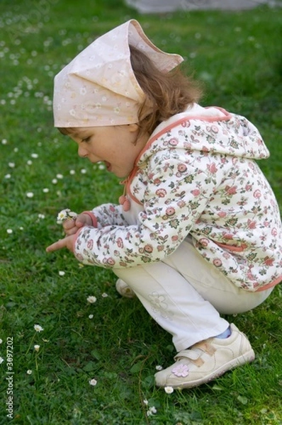 Fototapeta picking daisies