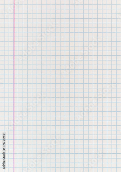 Obraz Checkered textbook paper texture, close-up. Clean and empty squared page.
