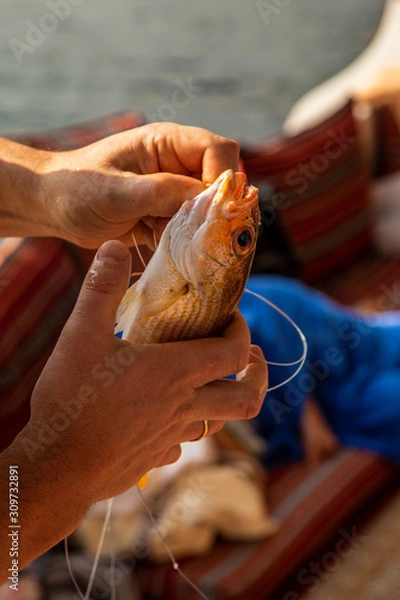 Obraz fish caught by fishermen