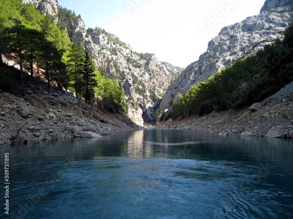 Obraz river in mountains