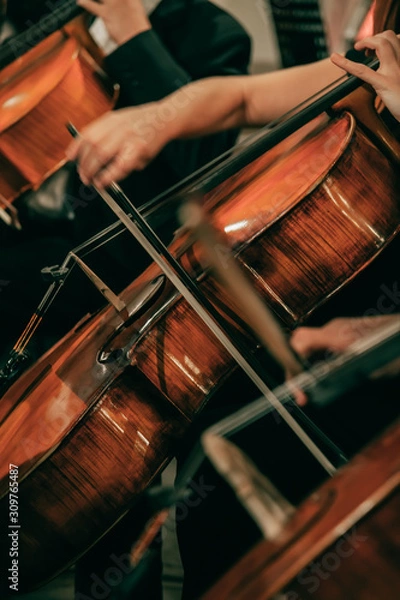 Fototapeta Symphony orchestra on stage, hands playing cello. Shallow depth of field, vintage style.