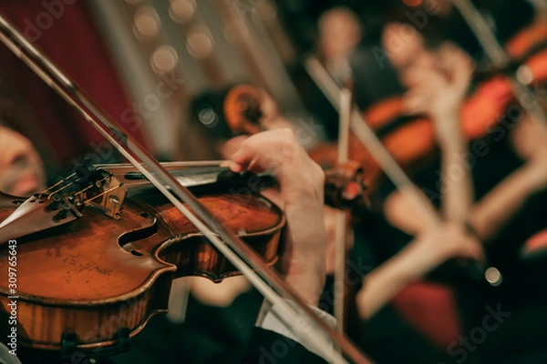Obraz Symphony orchestra on stage, hands playing violin