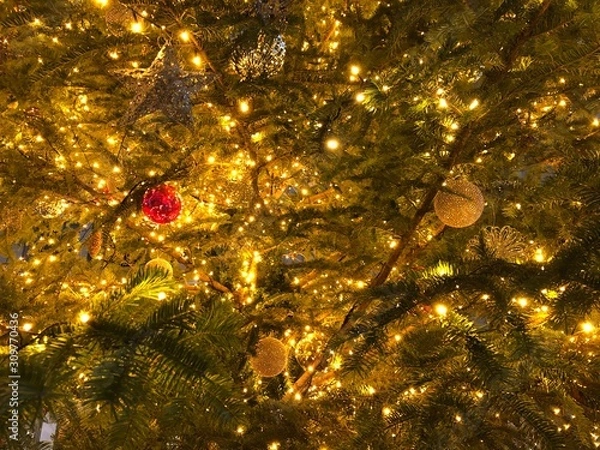 Obraz christmas tree