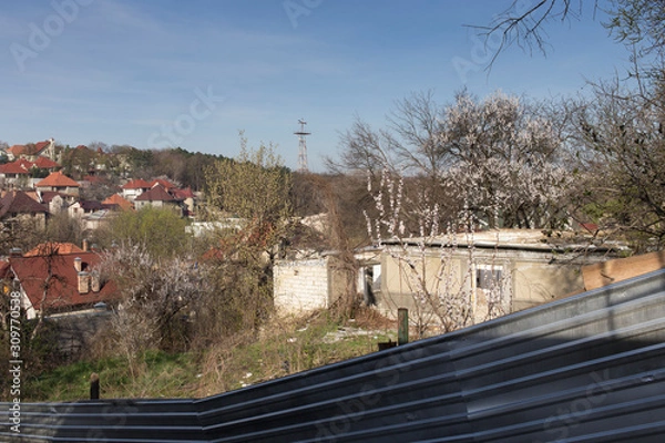 Fototapeta Beautiful rural landscape.