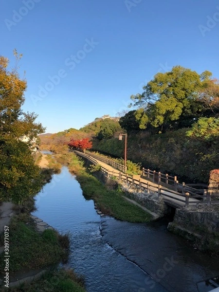 Obraz bridge over the river