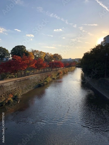 Obraz bridge over the river
