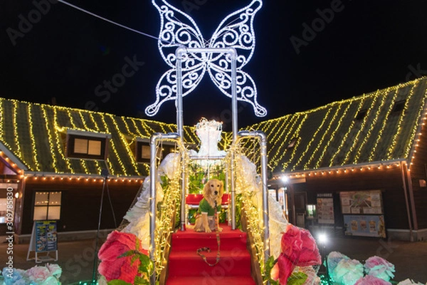 Fototapeta マザー牧場_ゴールデンレトニエル