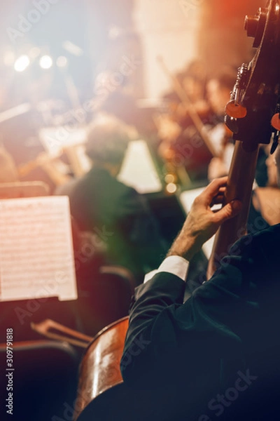 Obraz Symphony orchestra on stage, hands playing contrabass