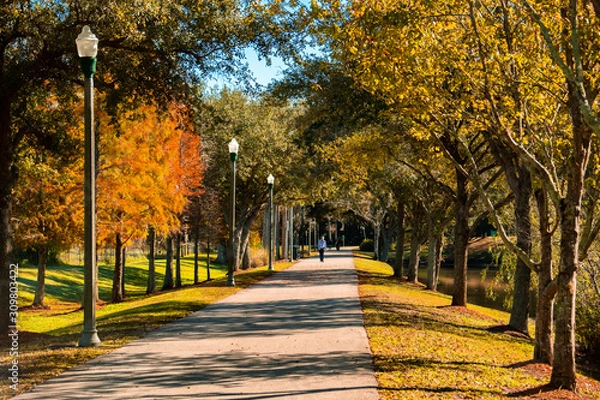 Obraz autumn in the park