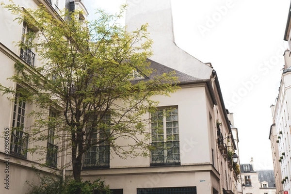 Obraz house with windows