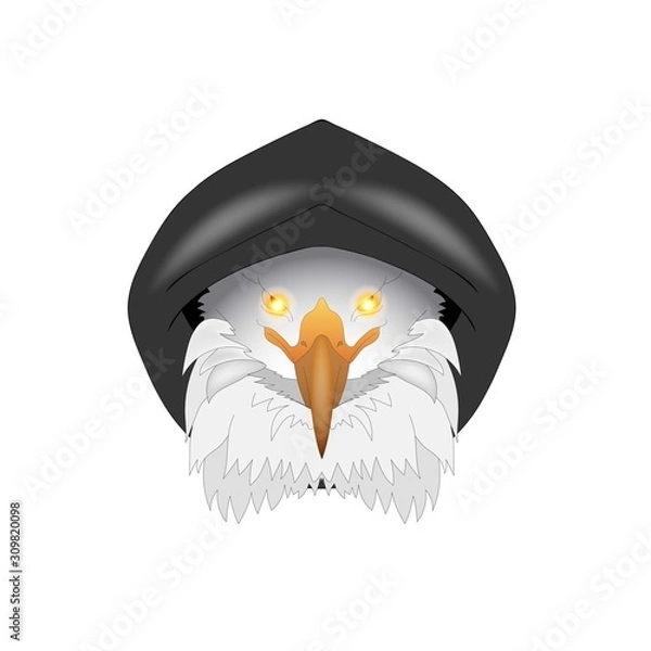 Obraz isolated picture of an eagle with glowing eyes in a hood