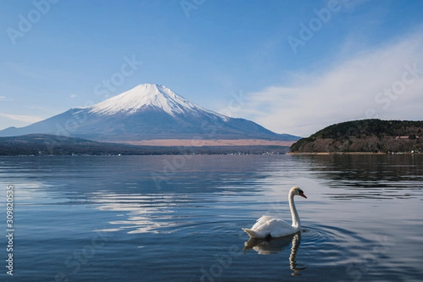 Obraz 山中湖からの富士山