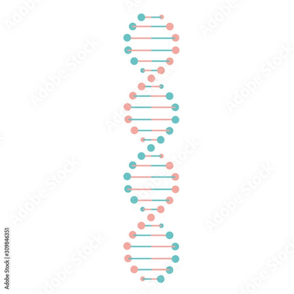 Fototapeta DNA helix chalk icon. Deoxyribonucleic, nucleic acid structure. Chromosome. Molecular biology.