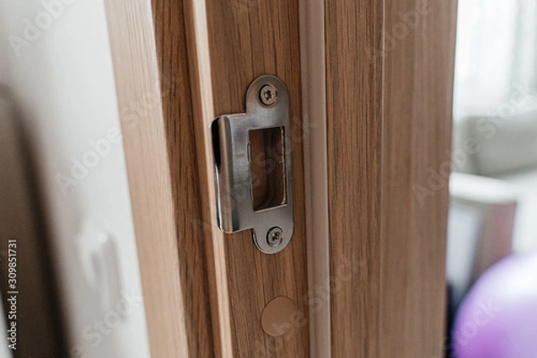 Obraz Door lock and door closeup