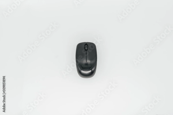 Obraz Old computer mouse on a white background close-up