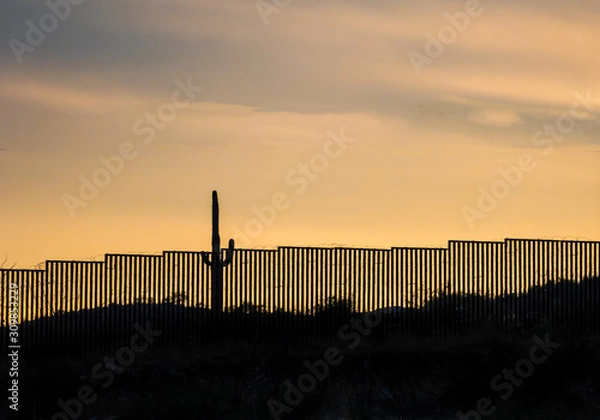 Obraz Mexico border wall at southern southern Arizona border with iconic Saguaro cactus in foreground 