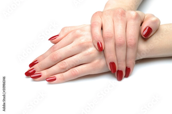 Obraz Beautiful hand with perfect nail red manicure isolated on white