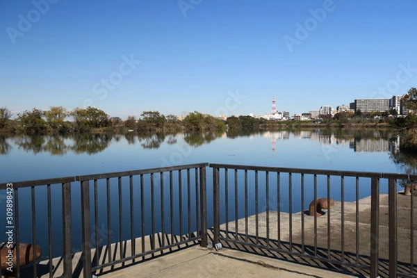 Obraz 災害用緊急船着き場のある江戸川風景