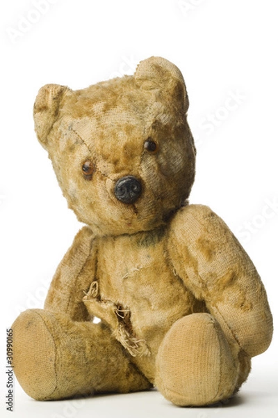 Obraz teddy