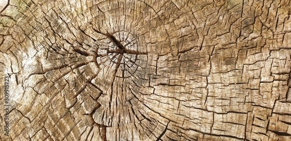 Fototapeta stumpf Labyrinth