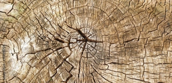 Fototapeta stumpf Labyrinth