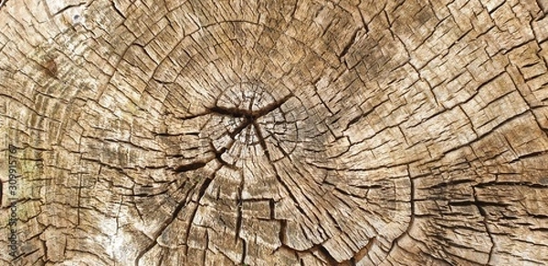 Fototapeta stumpf Labyrinth