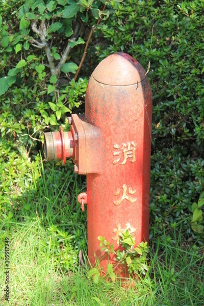 Fototapeta 雑草の中に立つ古びた消火栓