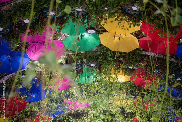 Obraz christmas tree on a green background