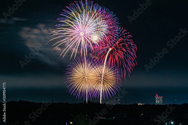 Fototapeta 花火大会・スターマイン