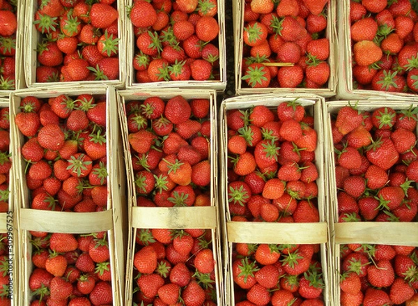 Fototapeta Erdbeeren 2