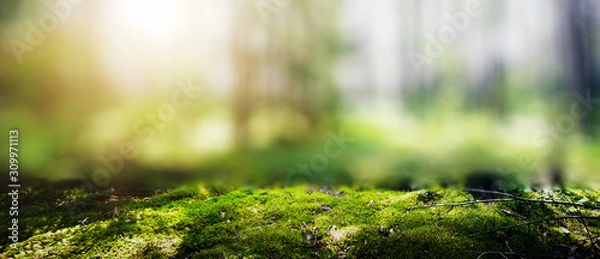 Fototapeta Ekologia tło