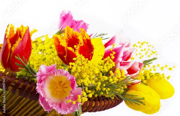 Obraz Spring flowers in a basket