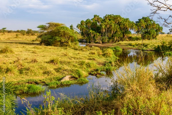 Fototapeta River and Lake in beautiful landscape scenery of Serengeti National Park, Tanzania - Safari in Africa
