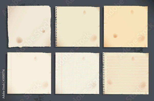 Fototapeta Set of notebook pages and torn paper
