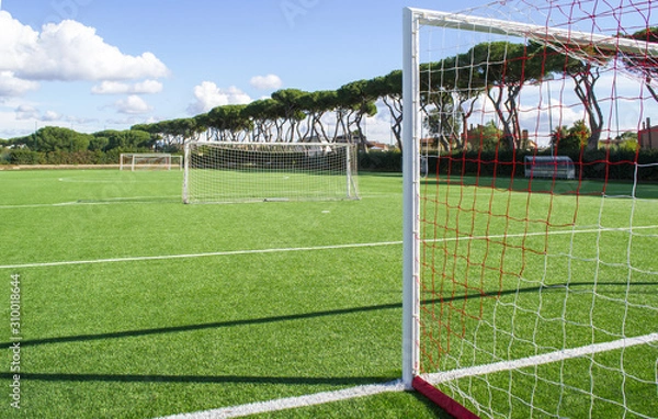 Obraz campo da calcio in erba