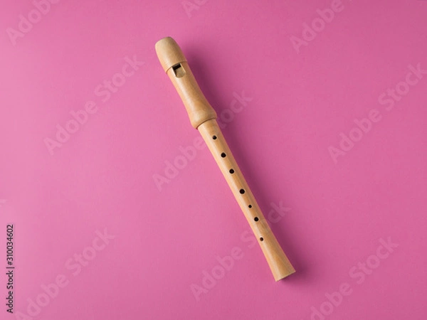 Obraz wooden recorder isolated on pink background