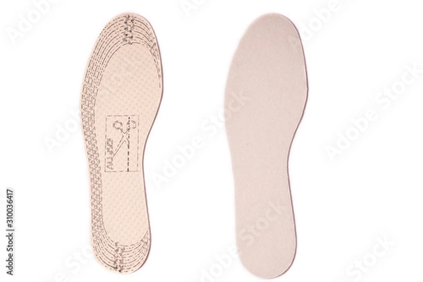 Fototapeta Pair of shoe insole isolated on a white background