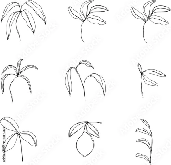 Fototapeta Vector tropical plants one line drawing. Mono line minimalistic style. Simple design illustration of different floral elements. Hand drawn set.