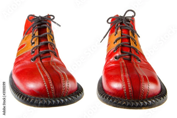 Obraz clown shoes