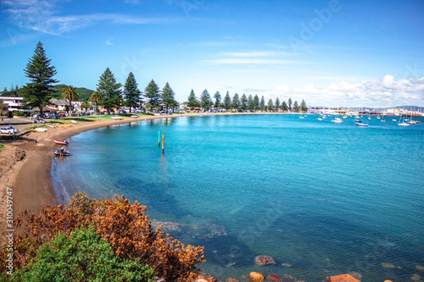 Fototapeta Lakeside in the town of Tauranga